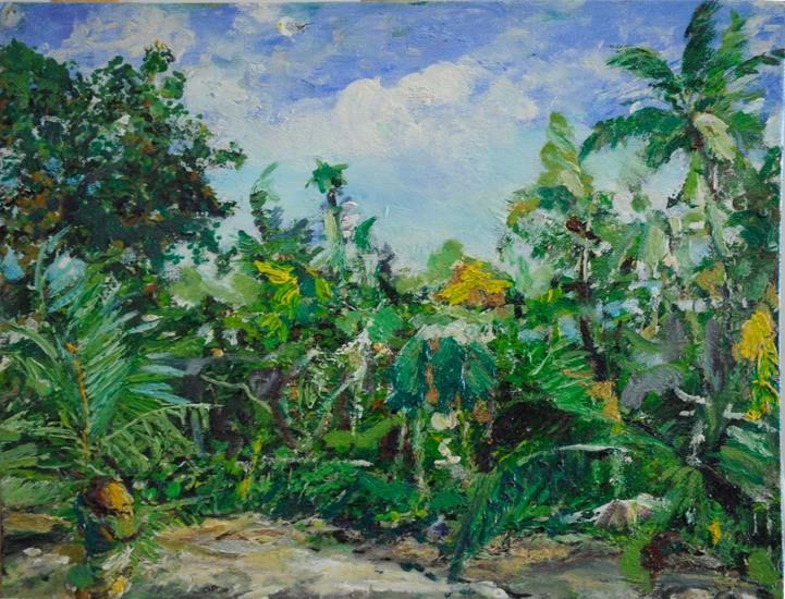 sabah vegetation